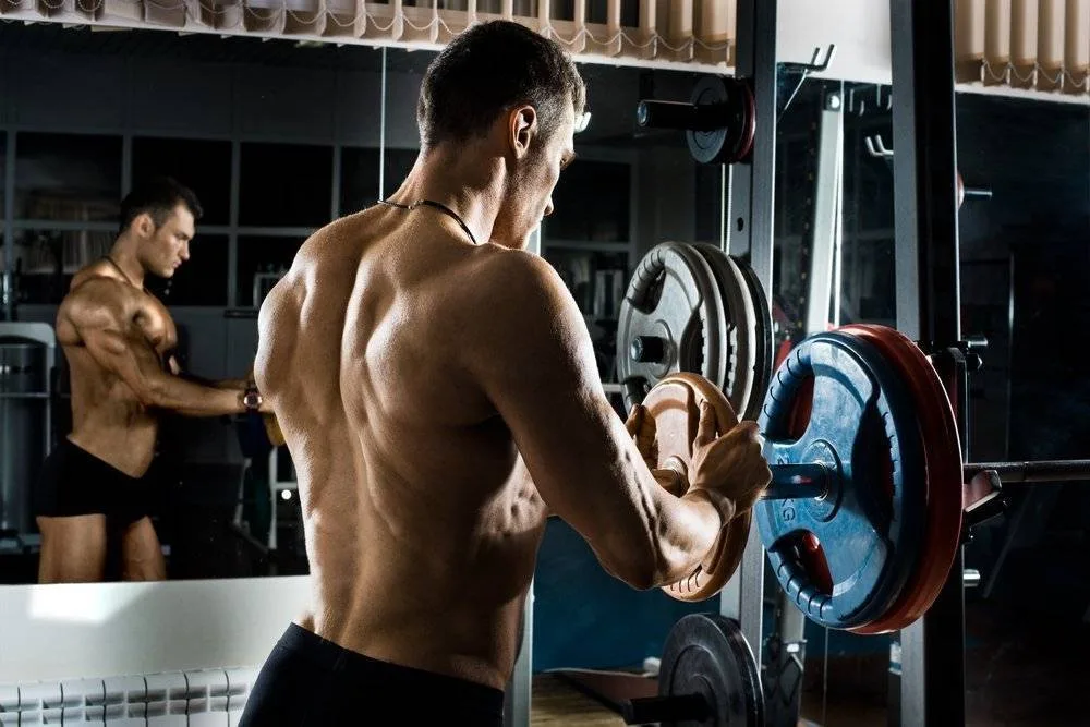 Full body ou split : comment choisir son programme de musculation