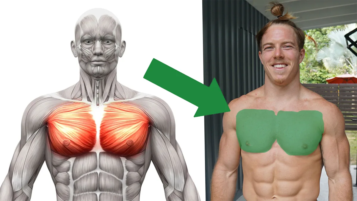 Illustration de la méthode d'entraînement physique 5BX