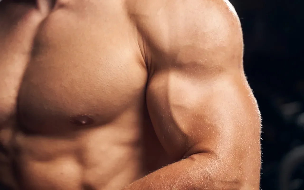 corps musclé et sec