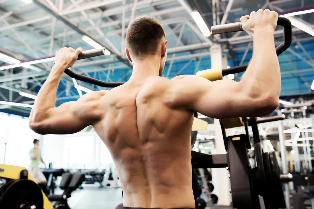 musculation du dos