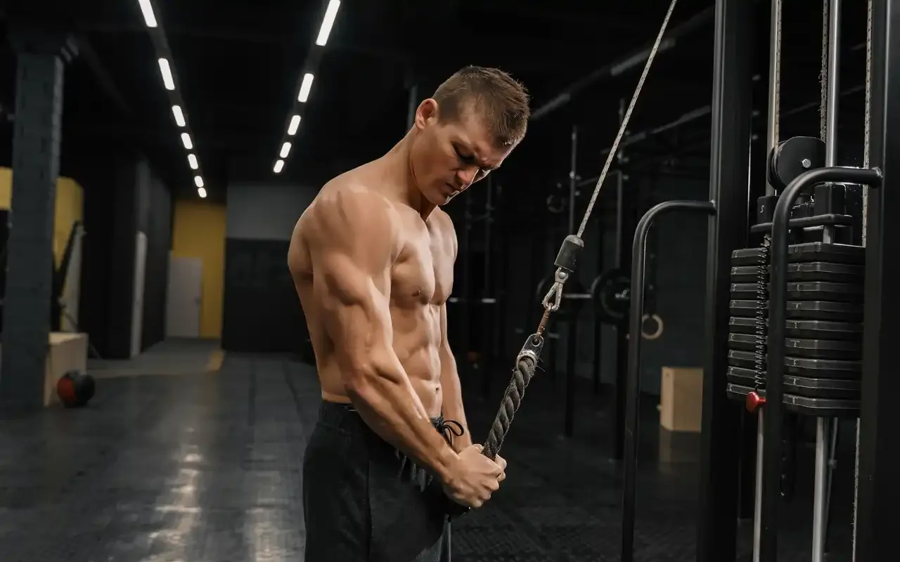 triceps-court-long