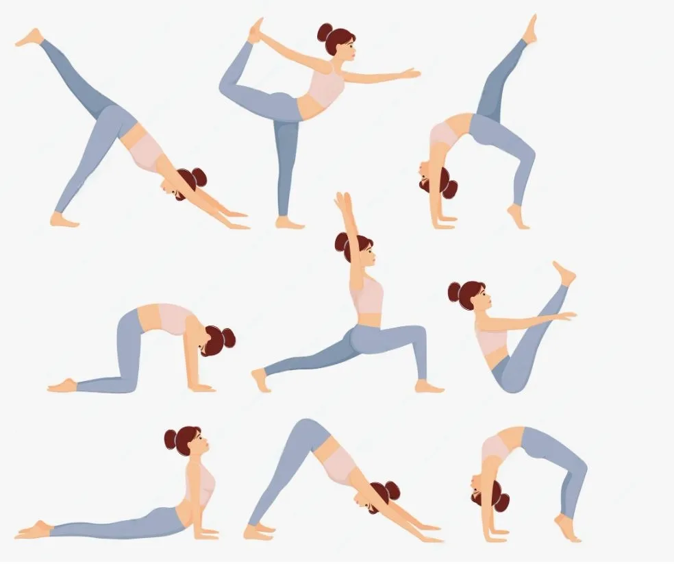 programme pilates