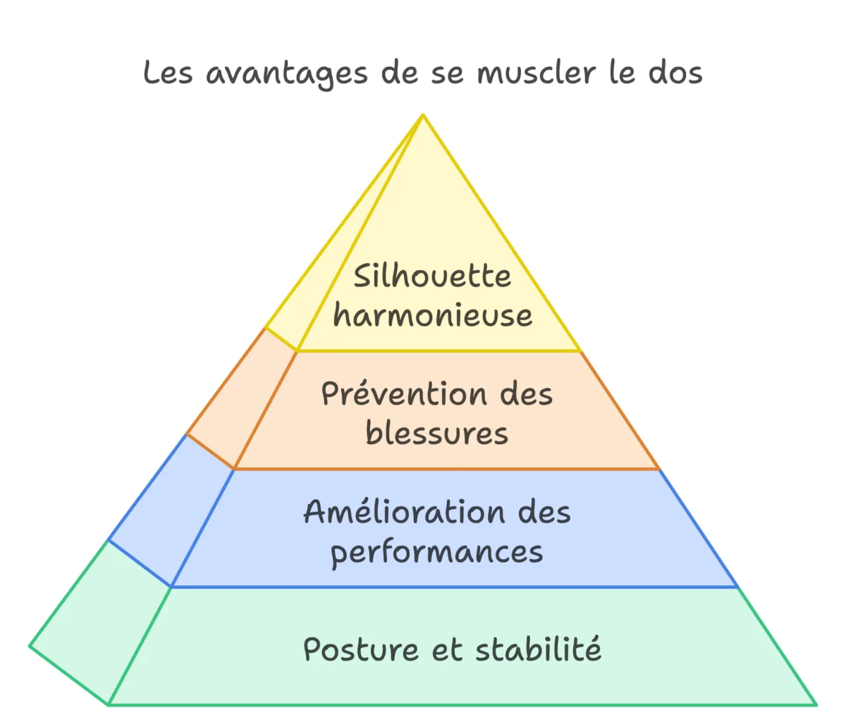 Avantages d'un dos musclé