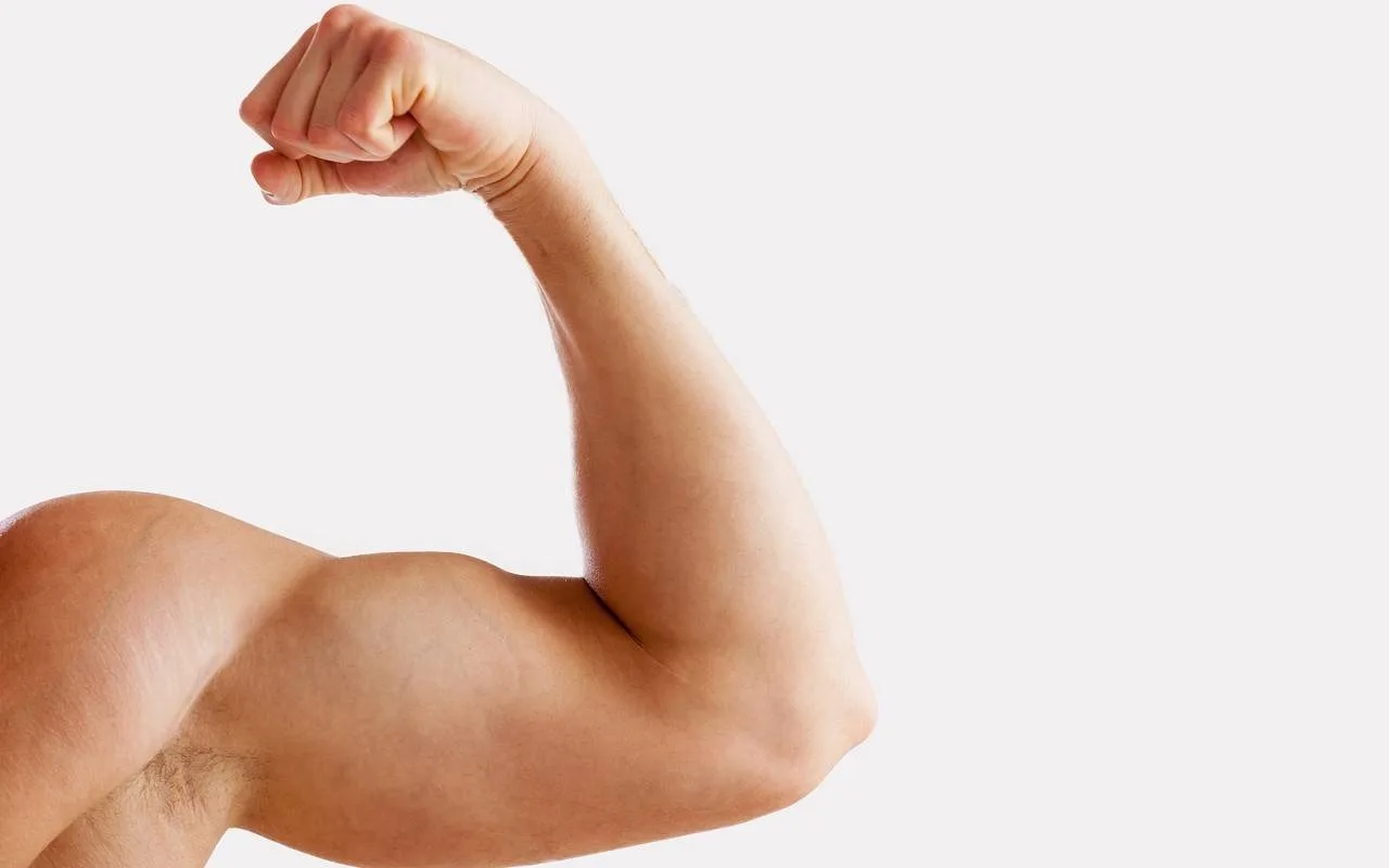 biceps