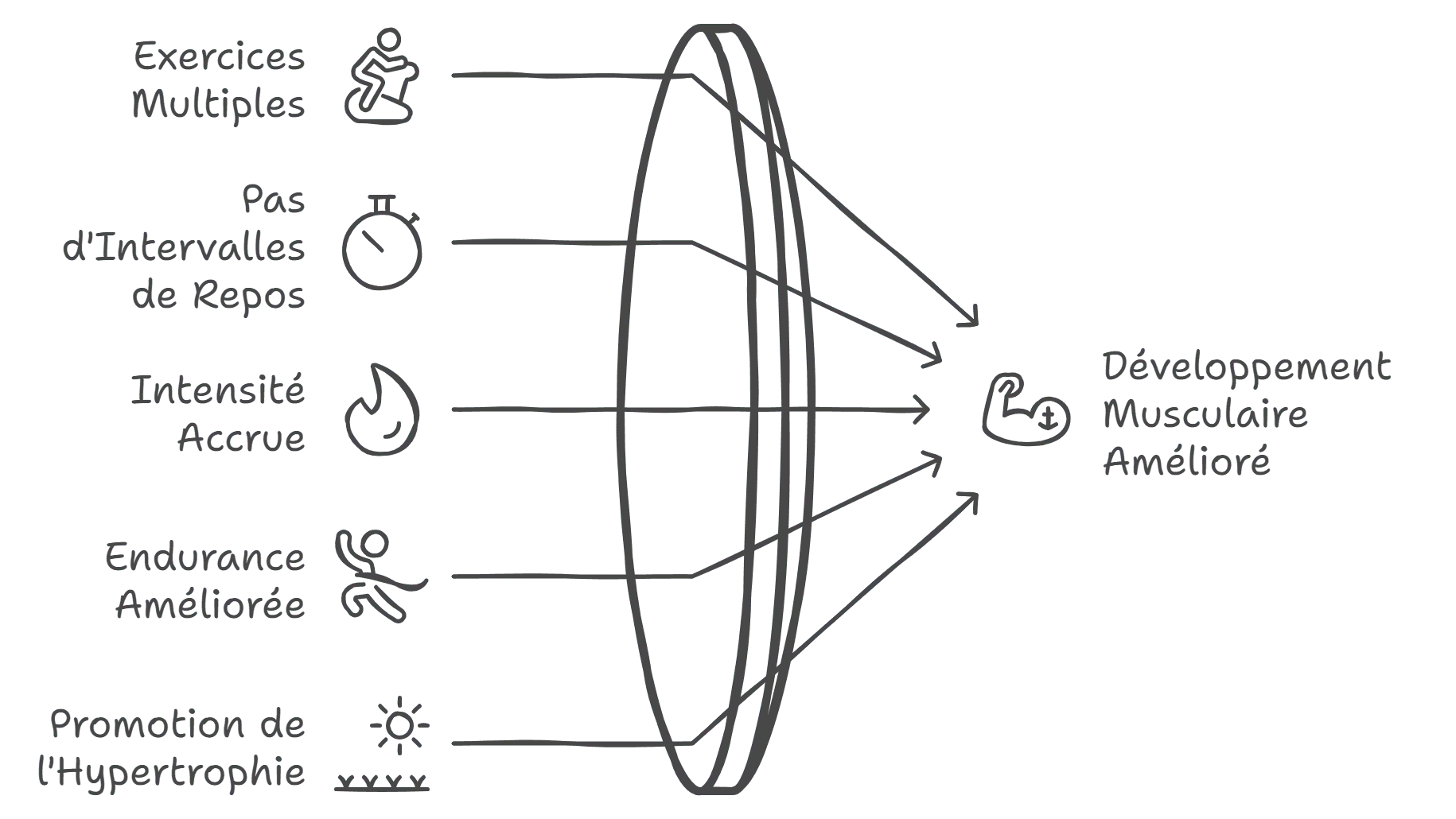 napkin-selection (2).png