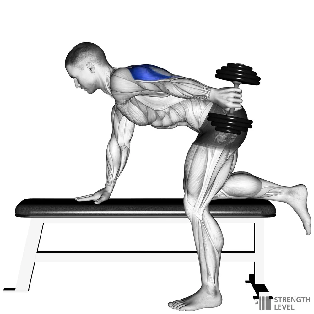 kickback triceps kickback triceps