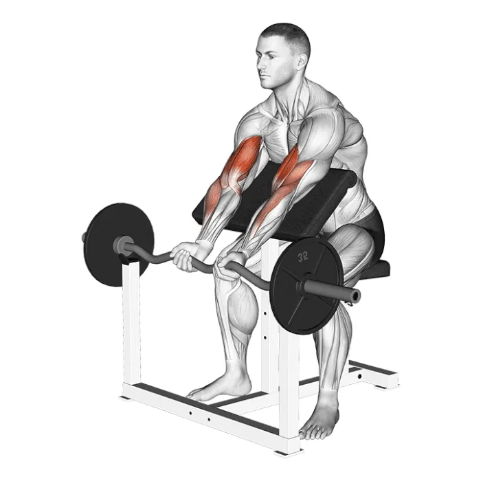 curle pupitre à la barre ez