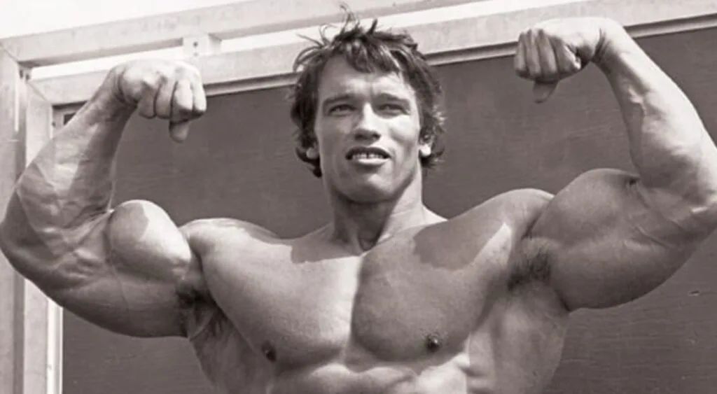 biceps court musculation